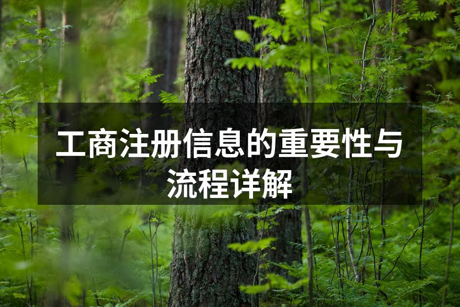 工商注册流程图解