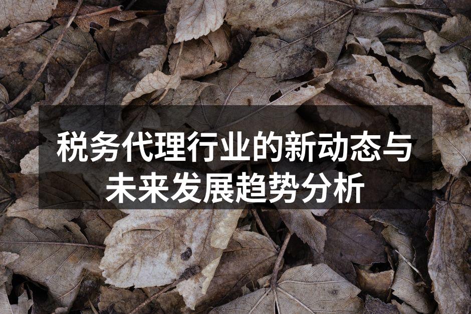 税务代理业务现场