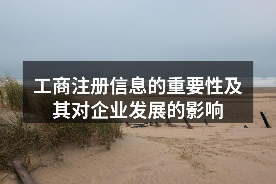 工商注册信息示例