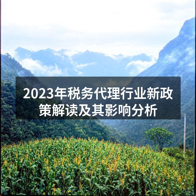 2023年税务代理行业新政策解读及其影响分析