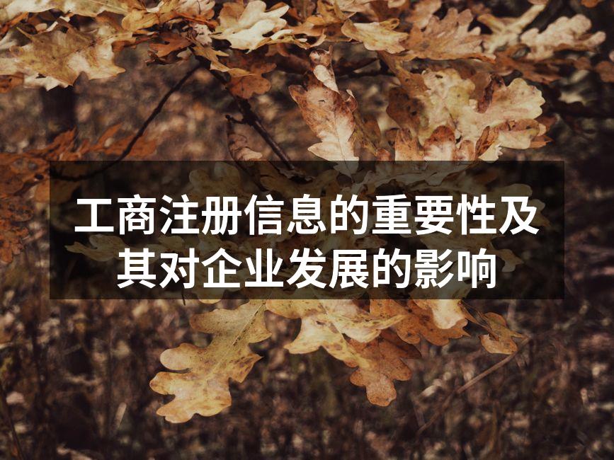 工商注册信息的重要性及其对企业发展的影响