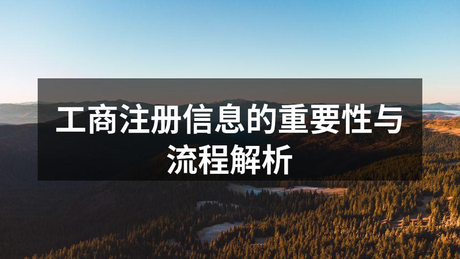 工商注册信息的重要性与流程解析