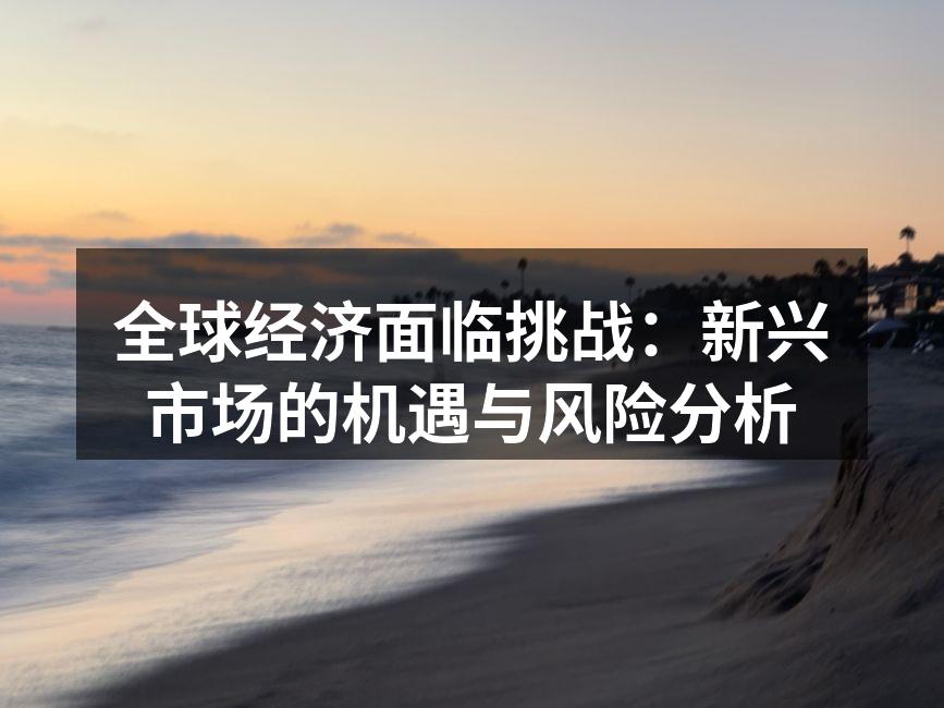 新兴市场经济图示