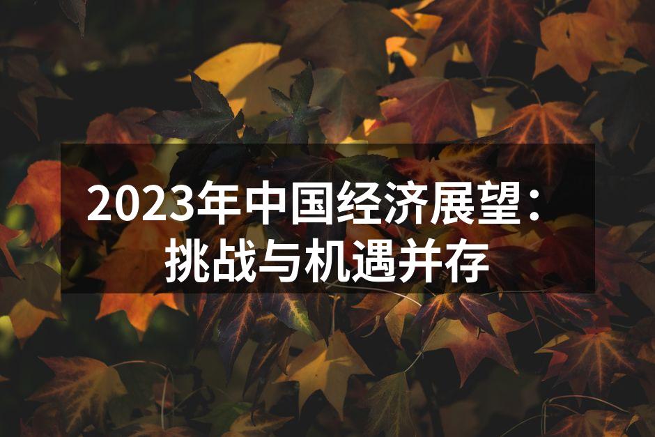2023年中国经济展望：挑战与机遇并存