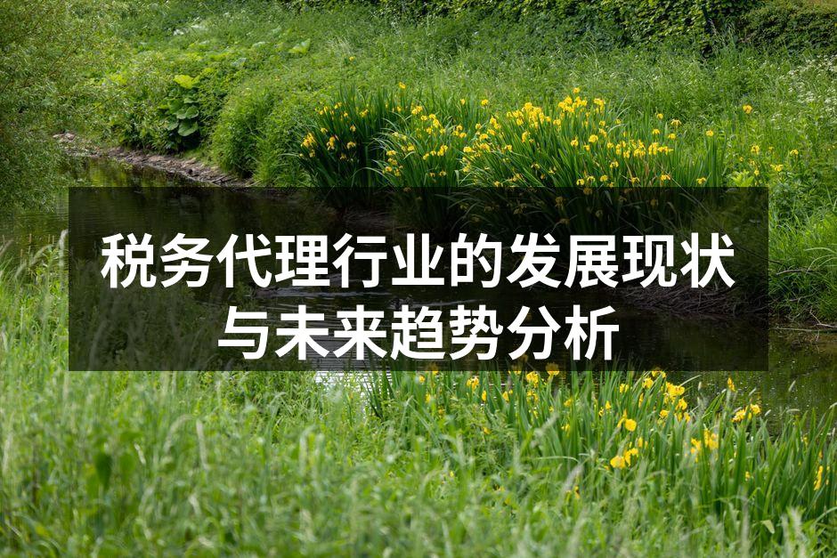 税务代理行业的快速发展